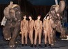 THE BAWDIES、ライブ「DON’T STOP ROLLIN’!!」開催決定。新宿 red clothより生配信