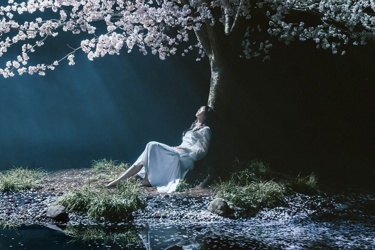 Aimer、劇場版『Fate/stay night [HF]』第3章主題歌“春はゆく”MV公開。今作も浜辺美波が主演 - アーティスト写真